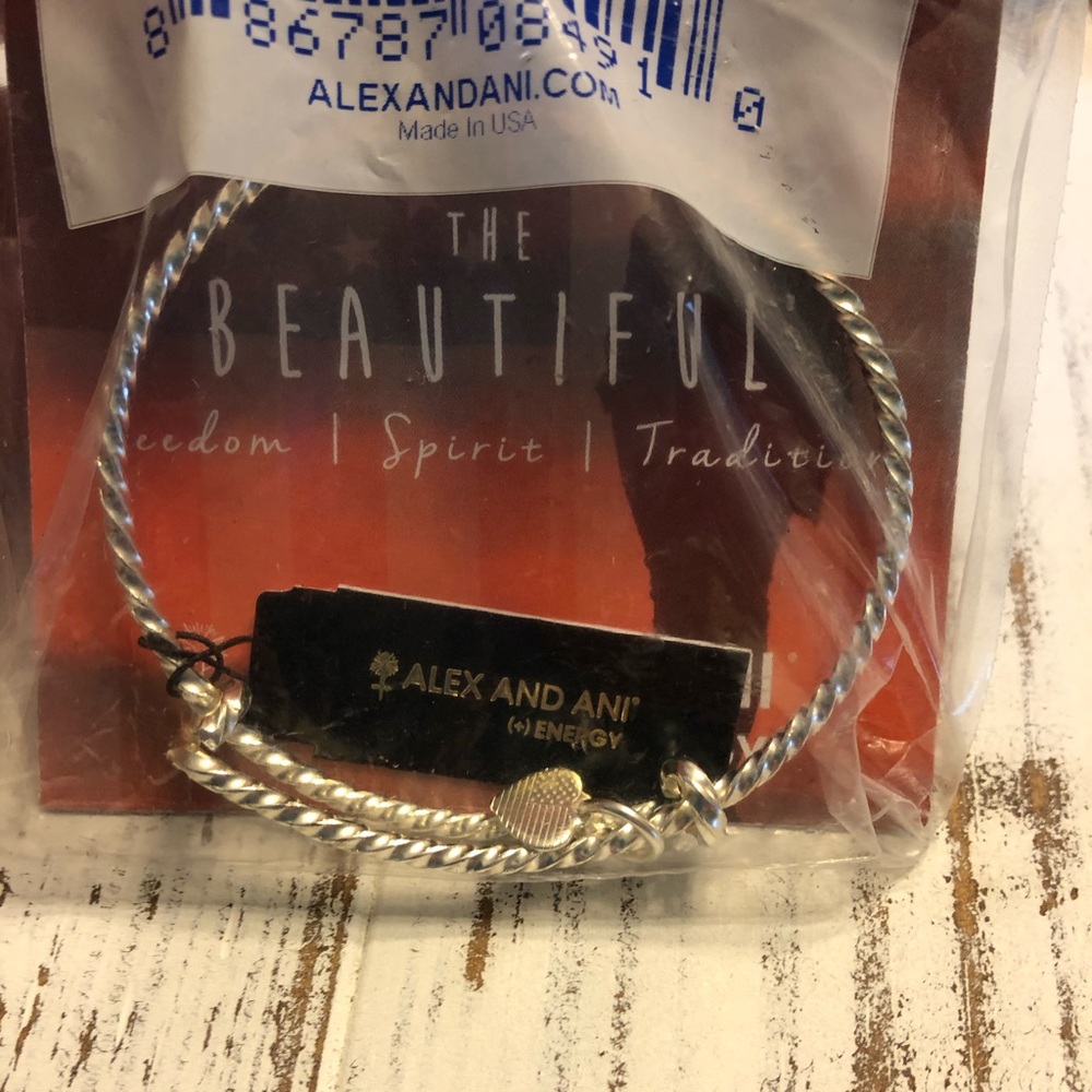NWT Alex and Ani ENERGY bracelet